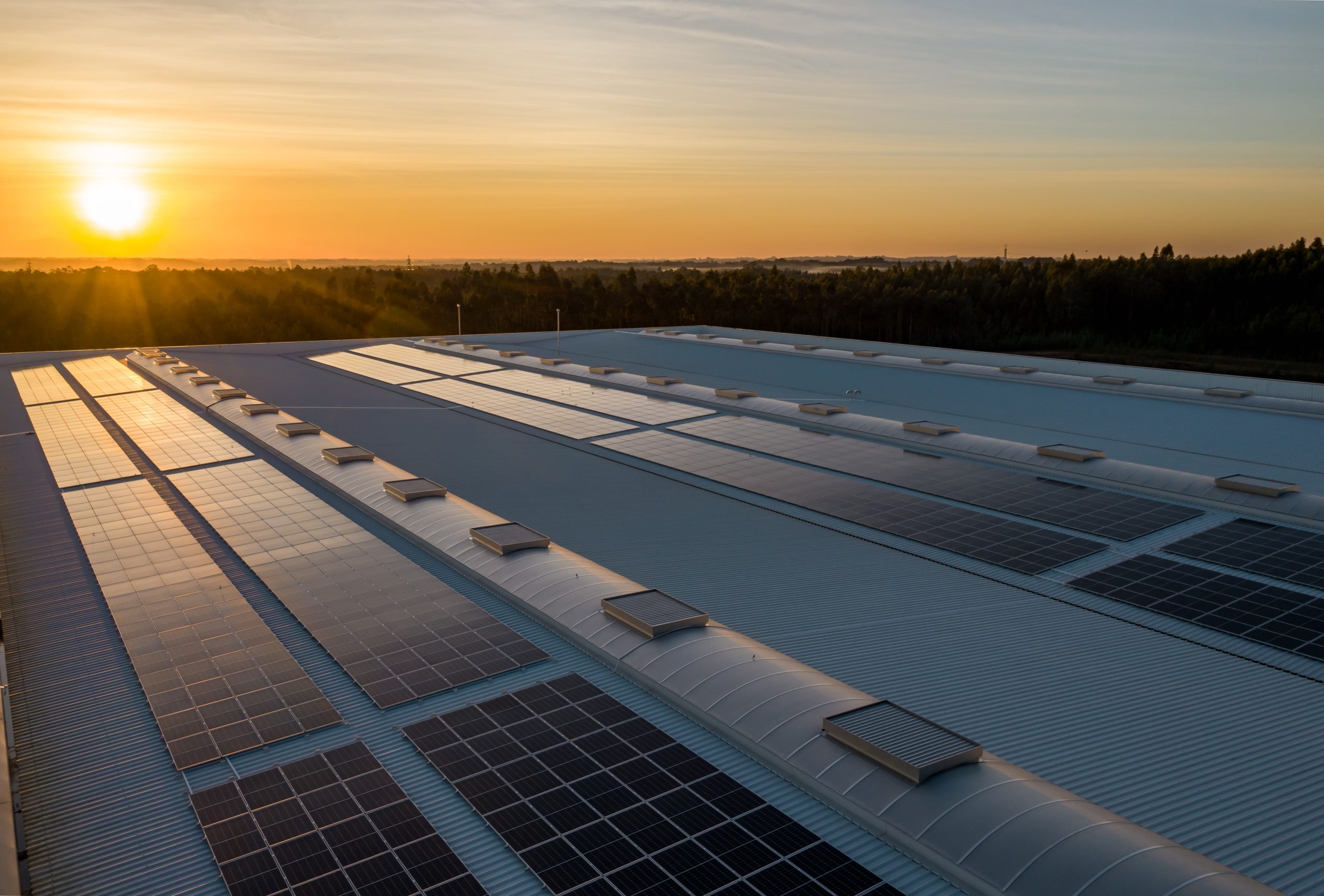 Energía renovable y la contratación pública